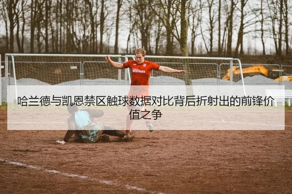 哈兰德与凯恩禁区触球数据对比背后折射出的前锋价值之争
